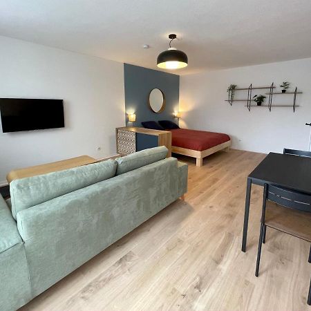 Grand Studio Joli Coeur - Calme Cosy Lumineux + Parking Daire Nancy Dış mekan fotoğraf