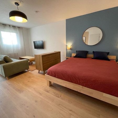 Grand Studio Joli Coeur - Calme Cosy Lumineux + Parking Daire Nancy Dış mekan fotoğraf